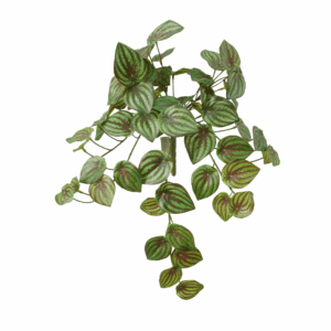 WATERMELON LEAF (REAL TOUCH)