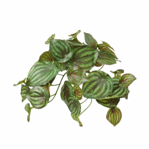 WATERMELON LEAF (REAL TOUCH)
