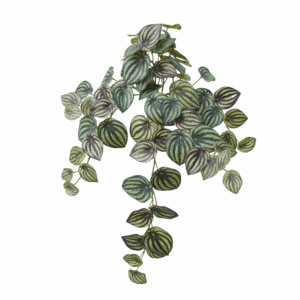 WATERMELON LEAF (REAL TOUCH)