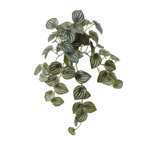 WATERMELON LEAF (REAL TOUCH)
