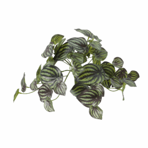WATERMELON LEAF (REAL TOUCH)