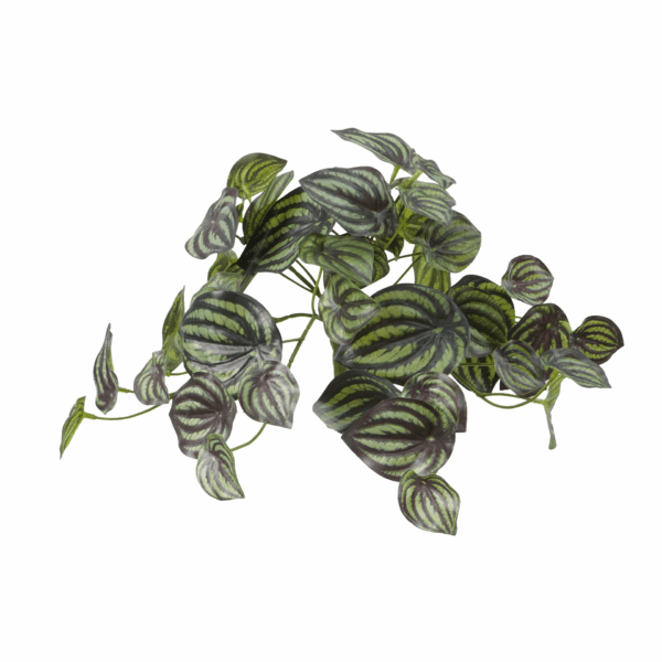 WATERMELON LEAF (REAL TOUCH)