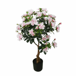 AZALEA TREE