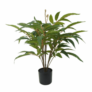 MANGO FERN (REAL TOUCH)