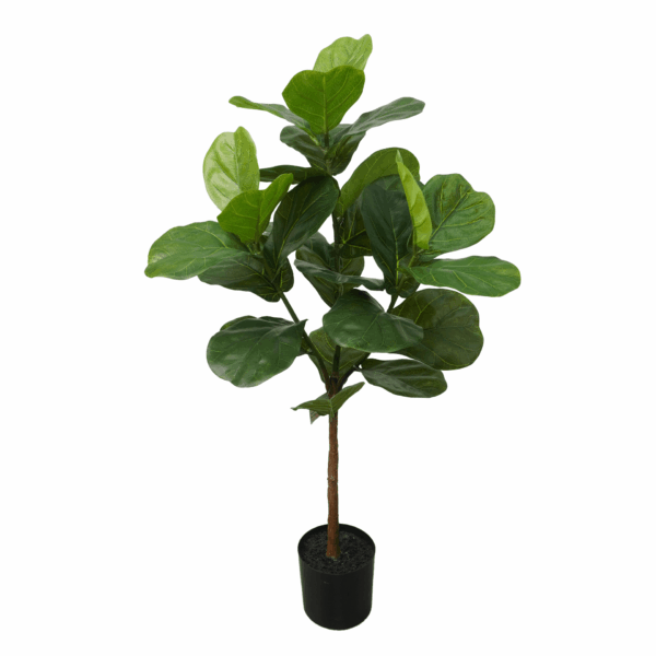 FIDDLE LEAF (THICKY REAL TOUCH)