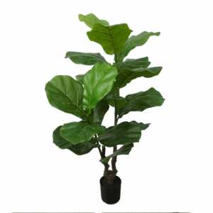 FIDDLE LEAF (THICKY REAL TOUCH)