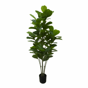 FIDDLE LEAF (THICKY REAL TOUCH)