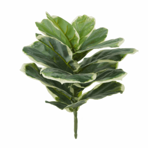 FIDDLE LEAF (THICKY REAL TOUCH)