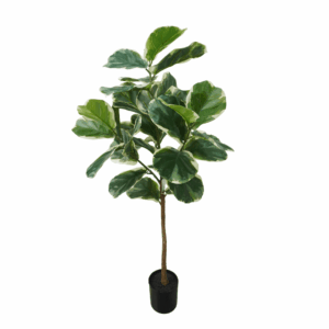 FIDDLE LEAF (THICKY REAL TOUCH)