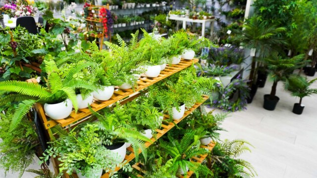 Artificial plants showroom hk_01