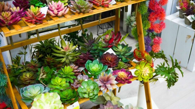 Artificial plants showroom hk_02