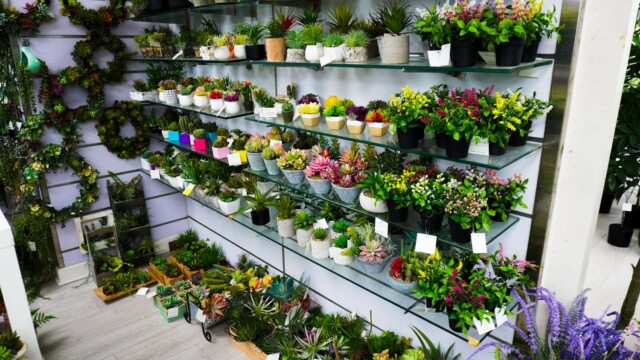 Artificial plants showroom hk_03