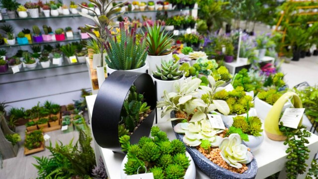 Artificial plants showroom hk_04