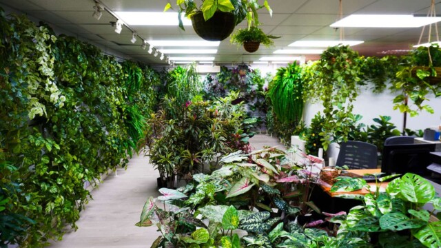 Artificial plants showroom hk_05