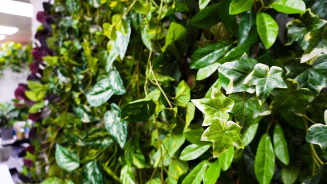 Artificial plants showroom hk_07