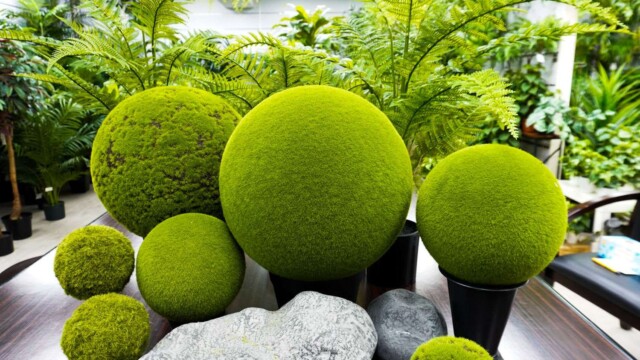 Artificial plants showroom hk_10