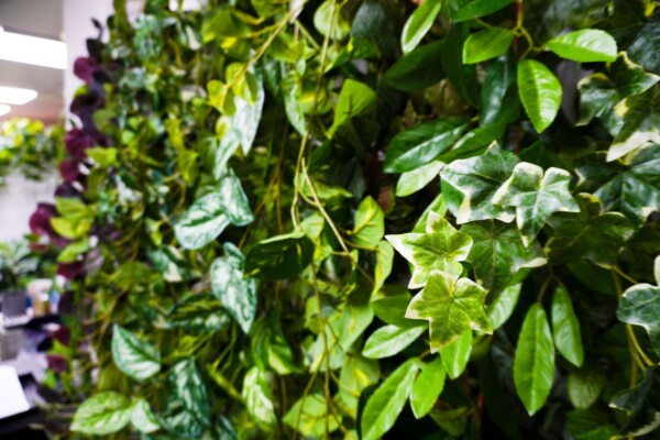 Artificial plants quick view04