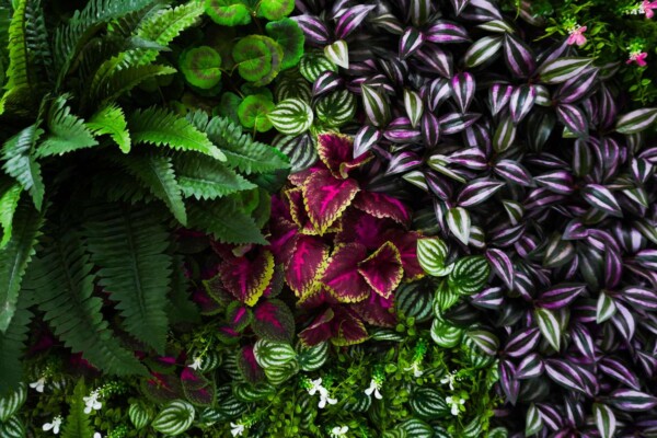 Artificial plants quick view06