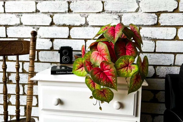 Artificial plants quick view07