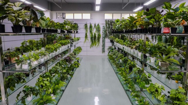 Artificial plants showroom cn_06