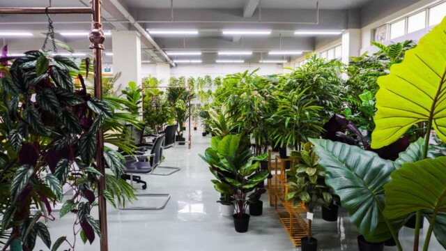 Artificial plants showroom cn_10